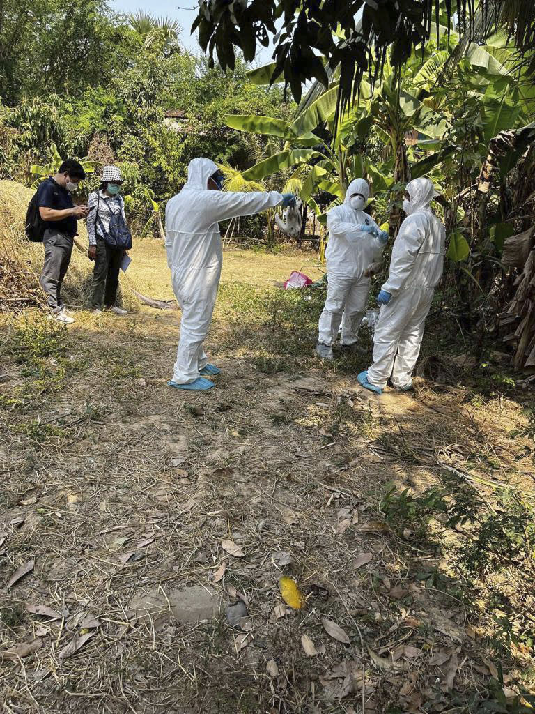 In this photo released by the Cambodia Ministry of Health, Cambodia health experts work during spray disinfectant at a village in Prey Veng eastern province Cambodia, Friday, Feb. 24, 2023. The father of an 11-year old girl in Cambodia who died this week after contracting bird flu has tested positive for the virus, but has not displayed any major symptoms, health authorities said Friday. (Cambodia Ministry of Health via AP)