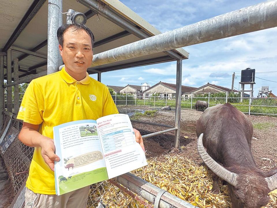 雲林青農林家良安養水牛「阿樂」的真實故事，成為高職英文教科書的課文，他展示課文給阿樂看，但老牛只想吃草。（周麗蘭攝）