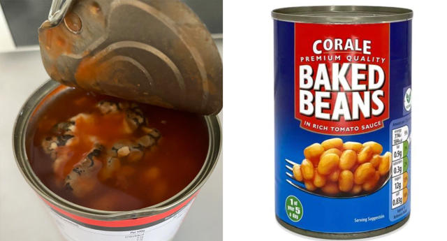 Woman finds 'dead snake' in Aldi baked beans: 'Traumatising'