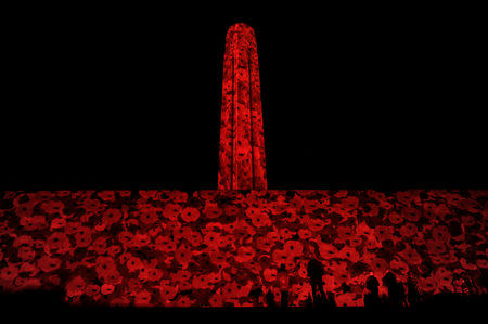 Visitors view the more than 5,000 poppies projected on the facade of the Liberty Memorial at the National WWI Museum and Memorial in Kansas City, Missouri, U.S., November 9, 2018. REUTERS/Dave Kaup