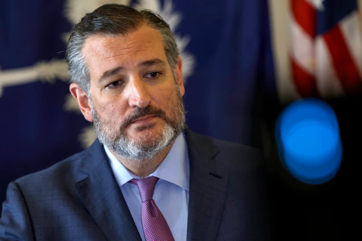 Ted Cruz said he thinks the federal right to same-sex marriage should be overturned  (Getty Images)