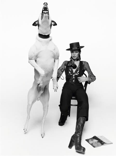 A Terry O'Neill shot of David Bowie for his 1974 album Diamond Dogs - Credit: Terry O'Neill / Iconic Images