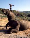 <p>Here, Hedren is seen standing atop an elephant in 1983. According to Shambala's website, "many of Shambala's residents are cast-offs from private owners, zoos and circuses. "</p> <p>Hedren has been the recipient of several awards for her animal activism, including The Helen Woodward Animal Center's Annual Humane Award" (1995), the Founder's Award from the American Society for the Prevention of Cruelty to Animals (1996) and the Lion and Lamb Award from Wildhaven (1997).</p>