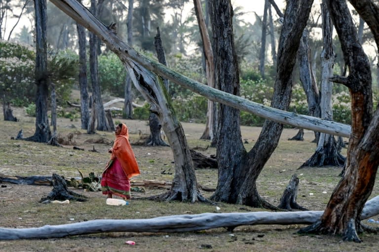 Satabhaya is the hardest-hit of several rural idylls along the seafront in India's Odisha, a state that has also been battered in recent decades by tropical cyclones and floods of increasing ferocity (Dibyangshu SARKAR)