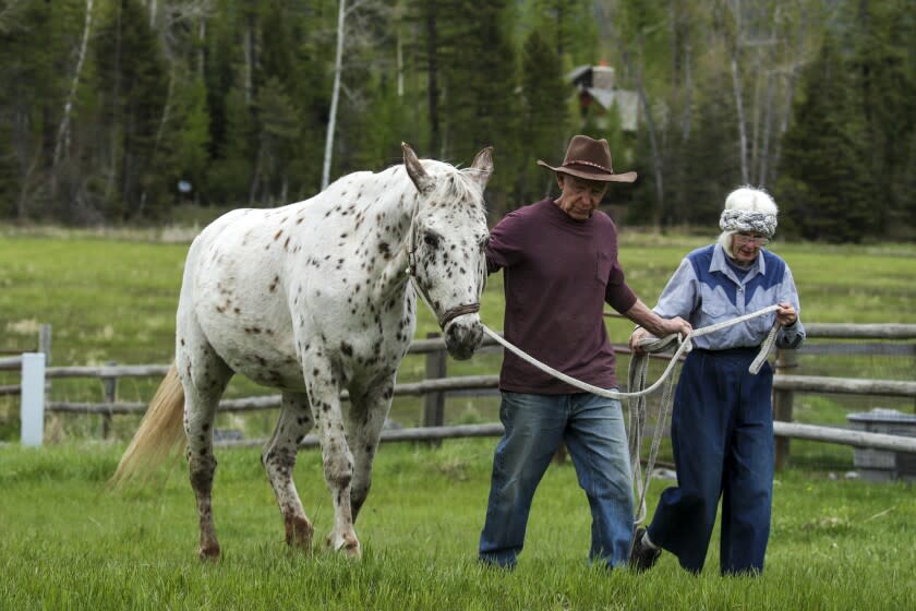 Bigfork, Montana - May 17: Cliff Palmer, 77, left, and Cheryl Palmer, 78, were college friends in 1966 when she learned that she is pregnant. Both in fear of having a child terminated the pregnancy. Palmers now live and breed horses at a farm in Bigfork, Montana. (Irfan Khan / Los Angeles Times)