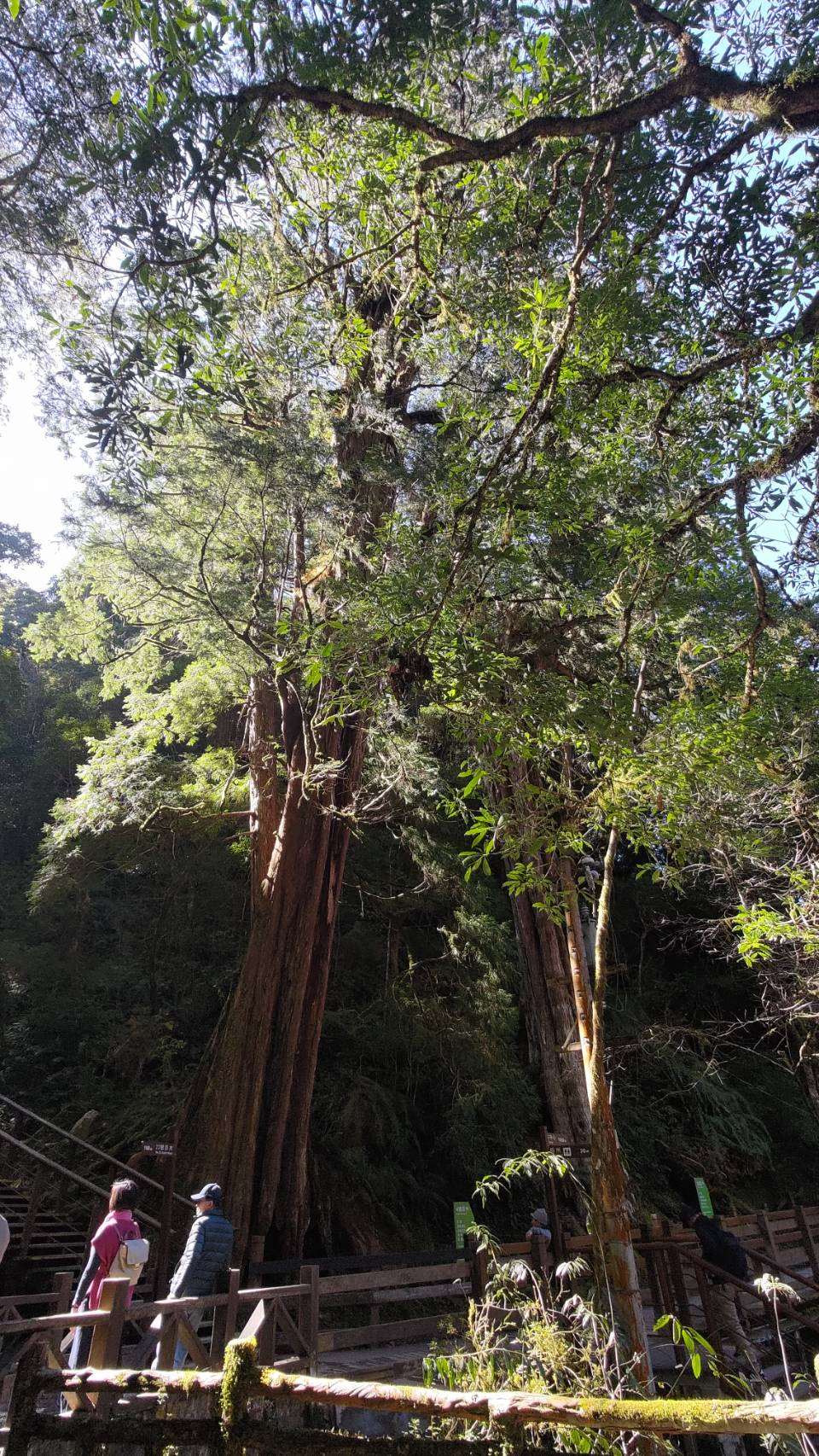 （圖片來源：新竹林管處）