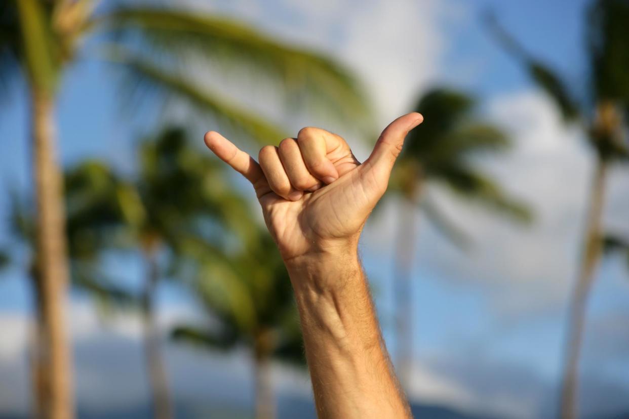 <span>Shaka is said to have originated in the 1930s in Hawaii and represents the spirit of aloha and hang loose.</span><span>Photograph: Jan-Otto/Getty Images</span>