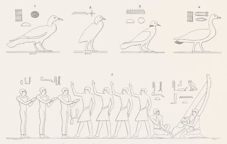 Dibujos tomados de la tumba de Menofre y de Eïmei (Foto: BBC)