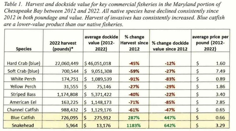 A table showing the change in harvest for nine different species in the Maryland portion of the Chesapeake Bay from 2012 to 2022. Blue Catfish have increased while blue crabs have decreased, but "direct links" have not been drawn, according to Gov. Wes Moore's March 15, 2023 letter to U.S. Commerce Secretary Gina Raimondo.