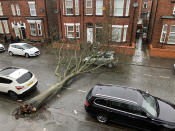 A fallen tree blocking the street in Wigan. (PA)