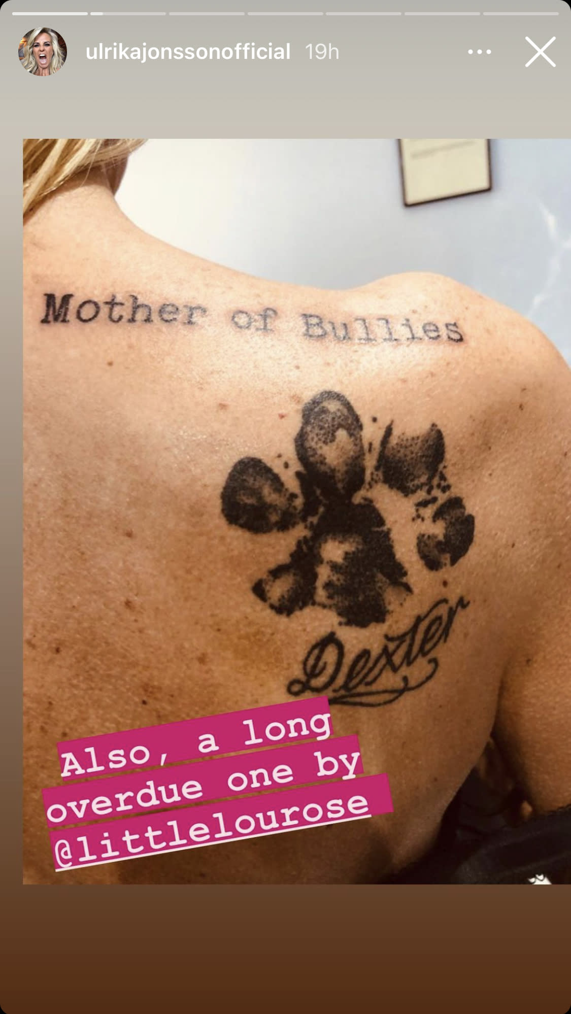 Ulrika Jonsson reveals two huge dog tribute tattoos and a new piercing on her Instagram story.