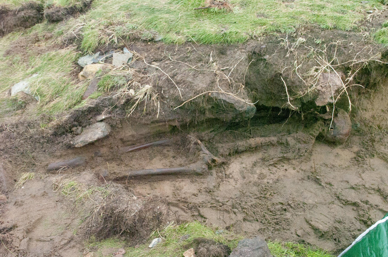 The remains could be part of an historic burial site: Jim Campbell Photography