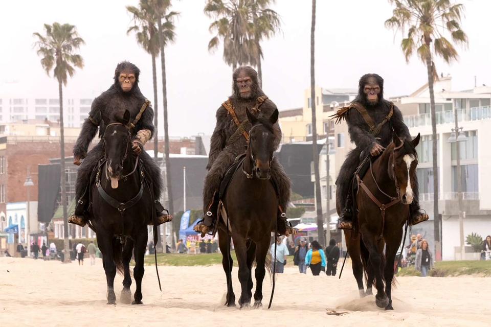 <p>Experiential Supply</p> Humans dressed as apes on Venice beach