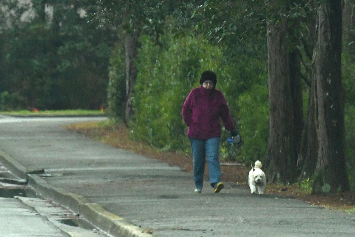 People walk their pets around Greenfield Lake on Friday, Jan. 21, 2022. With temperatures staying in the mid to low 30s today, there will be a chance for a wintery mix to continue as the day goes on. [KEN BLEVINS/STARNEWS]