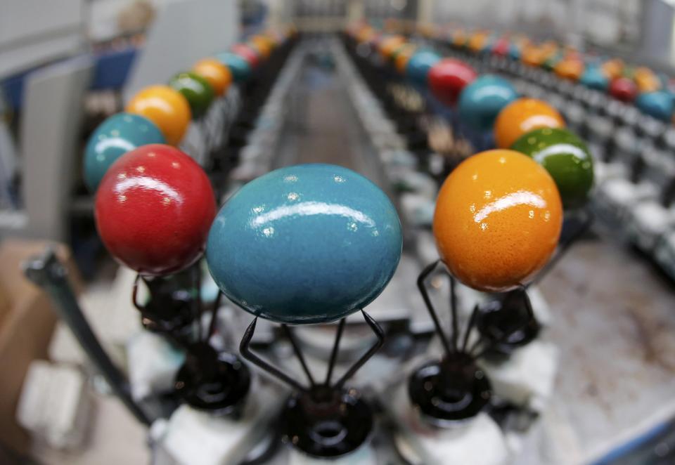 Cooked and coloured eggs travel along the production line at the Schrall coloured eggs company in Diendorf