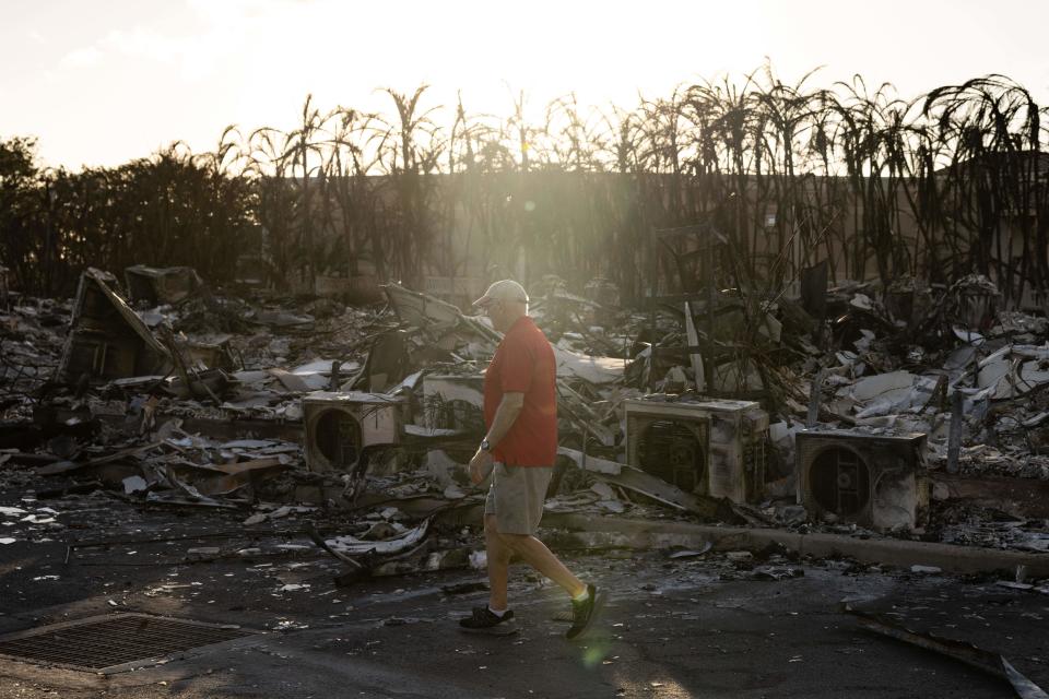 A resident looks around a charred apartment complex in the aftermath of the Lahaina wildfire. 