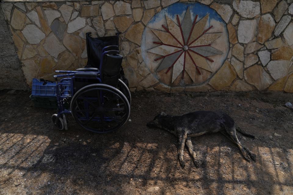 A dead dog lies outside a burned house after a wildfire in Varibobi area, northern Athens, Greece, Wednesday, Aug. 4, 2021. Firefighting planes were resuming operation at first light Wednesday to tackle a major forest fire on the northern outskirts of Athens which raced into residential areas the previous day, forcing thousands to flee their homes amid Greece's worst heatwave in decades. (AP Photo/Thanassis Stavrakis)