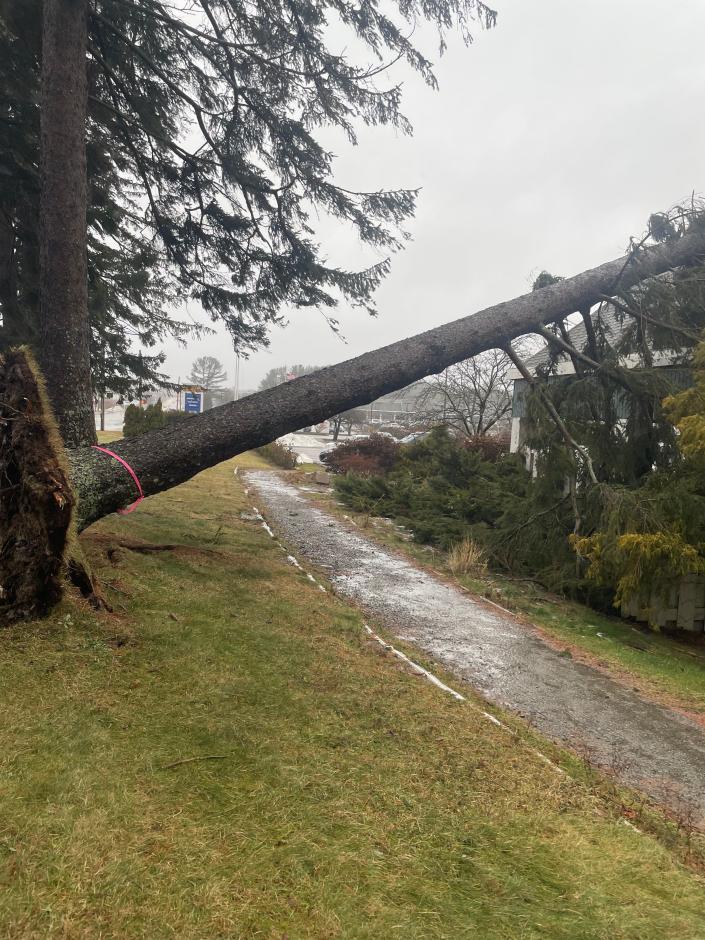 A winter storm that blew through the Seacoast and southern Maine region on Monday caused a tree uprooting about 90 feet and crashing into the Nike store at Kittery Outlets.  No injuries were reported.