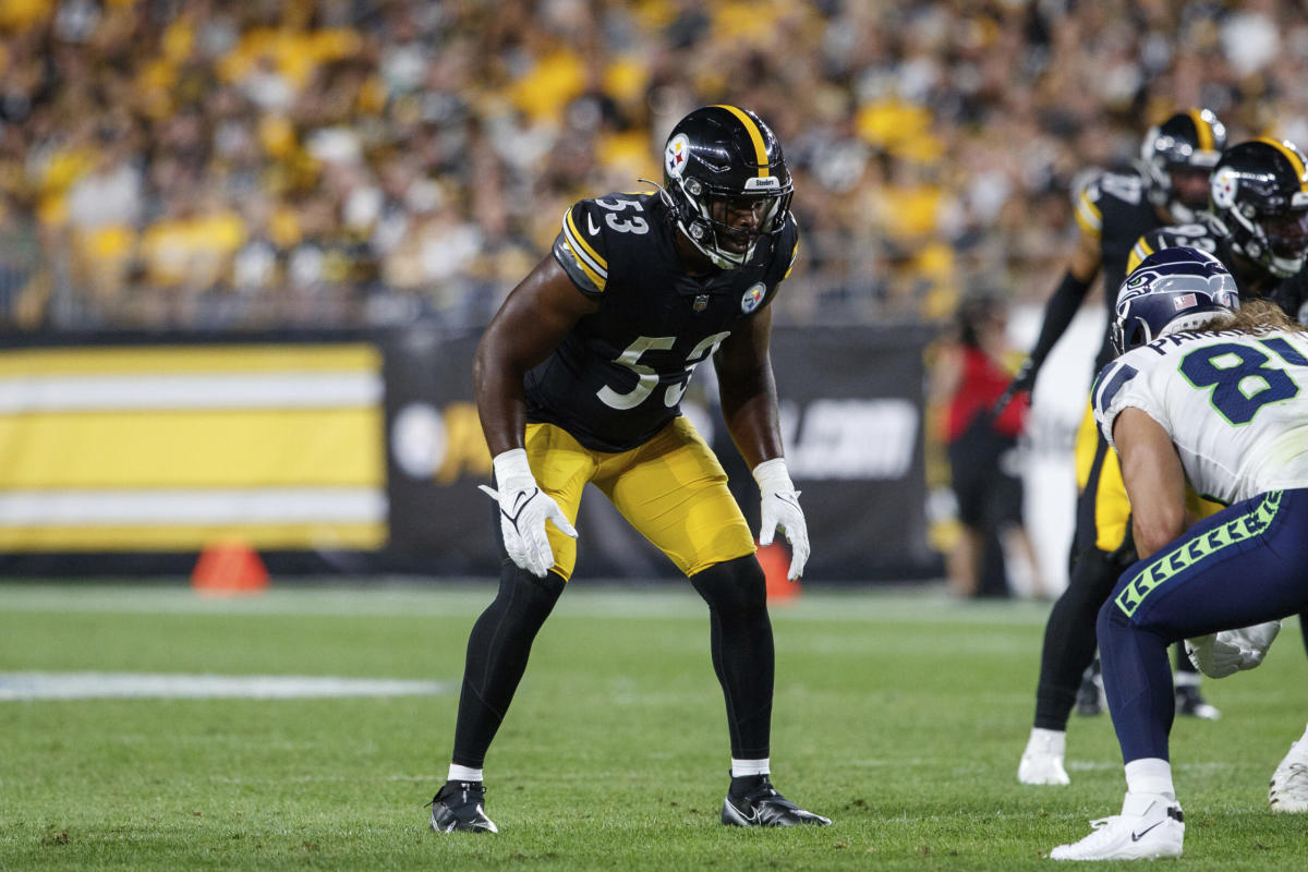 Steelers' Safety Option is to Bring Back Tuzar Skipper - Sports