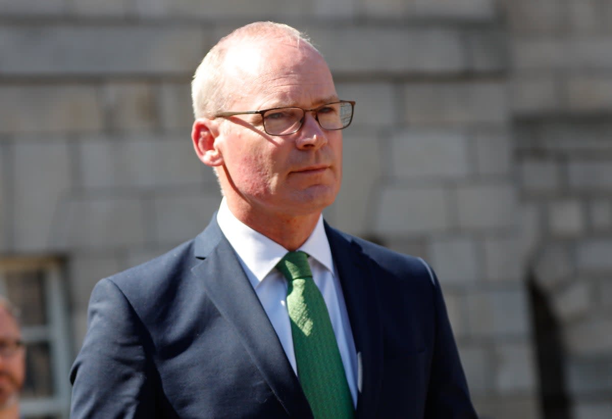 Irish Foreign Minister Simon Coveney arrives for the National Day of Commemoration Ceremony, held to honour all Irishmen and Irishwomen who died in past wars or on service with the United Nations, at Collins Barracks in Dublin. Picture date: Sunday July 10, 2022. (PA Wire)