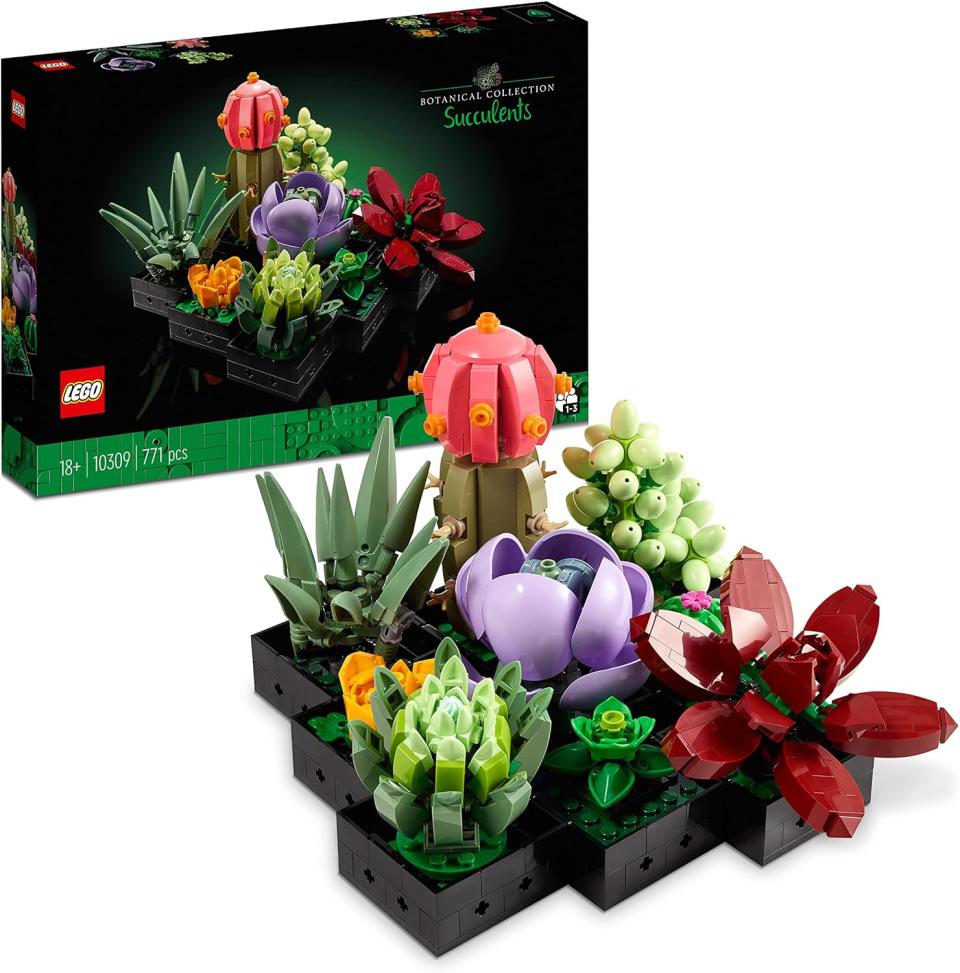 Les succulentes (Lego)