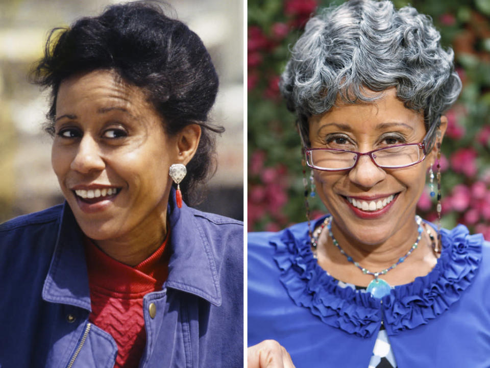 <strong>Vernee Watson-Johnson</strong><br><br><strong>Played:</strong> Vy Smith, Will's mom<br><br><strong>Now:</strong> Scrolling down Watson's long and impressive resume, you'll see the names of TV's biggest hits — "ER," "The Big Bang Theory," "Two and a Half Men," and many, many more. Watson was in the spotlight for non-career reasons when she testified in the Michael Jackson's 2005 trial for child molestation.