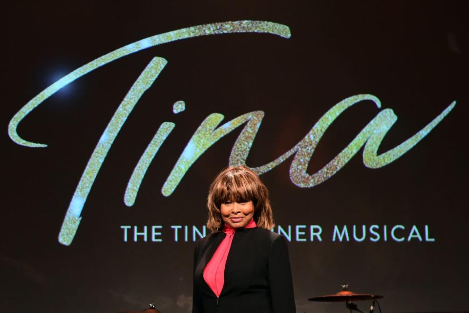 Tina Turner inspired musicals and films that showcased her strength and sound (PA Wire)