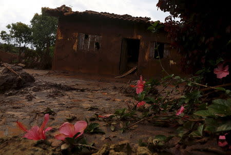 Flowers are seen on the garden of a damaged house, in Bento Rodrigues district after a dam, owned by Vale SA and BHP Billiton Ltd burst, in Mariana, Brazil, November 9, 2015. REUTERS/Ricardo Moraes