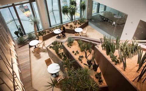 One of the interior gardens that is filled with cacti to evoke the south west American desert landscapes - Credit: Stefan Rousseau /PA