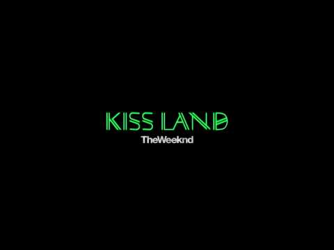 14. "Professional" from 'Kiss Land'