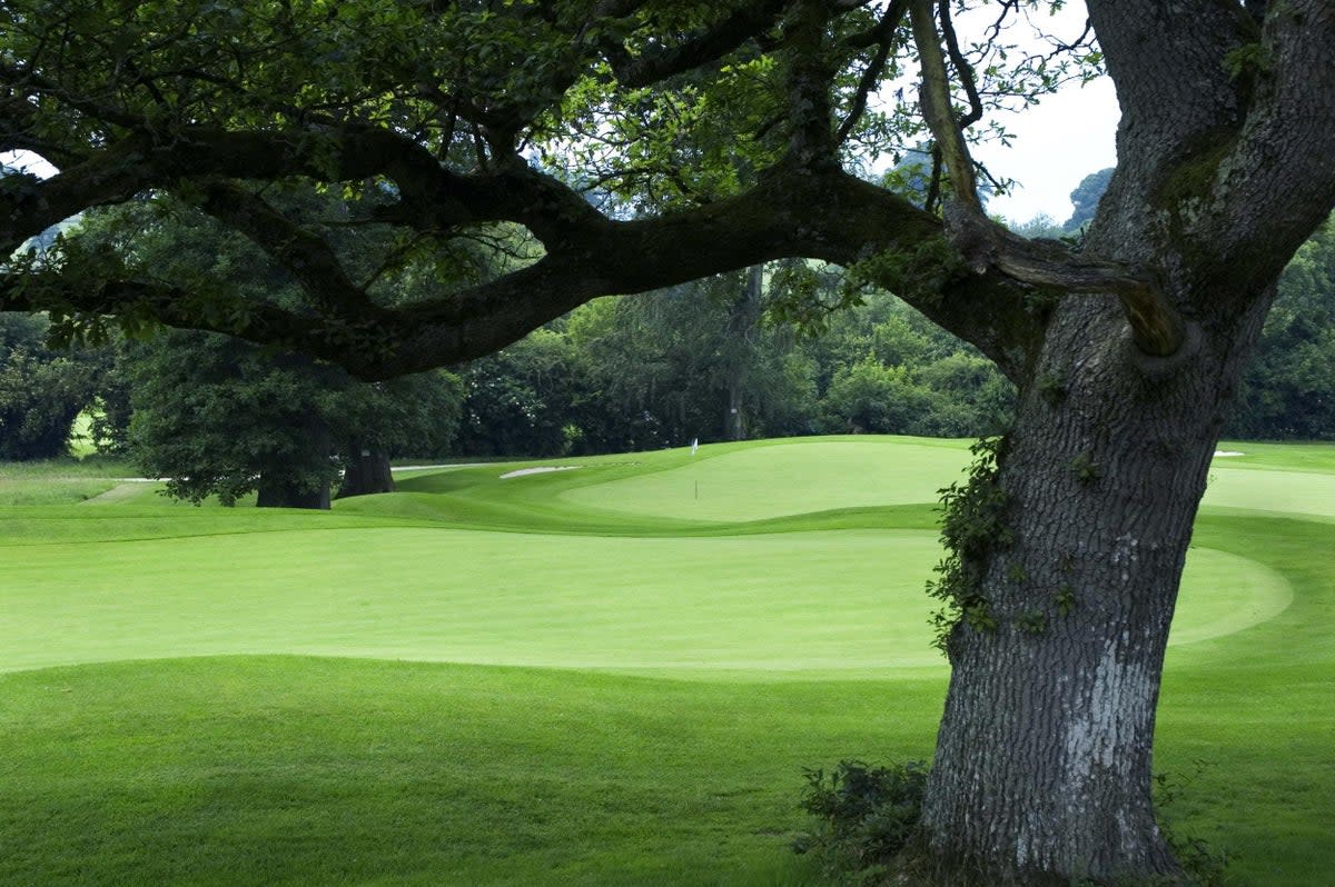 Enjoy some of Ireland’s best bunkering with 270 acres of parkland to play in (Rathsallagh House)