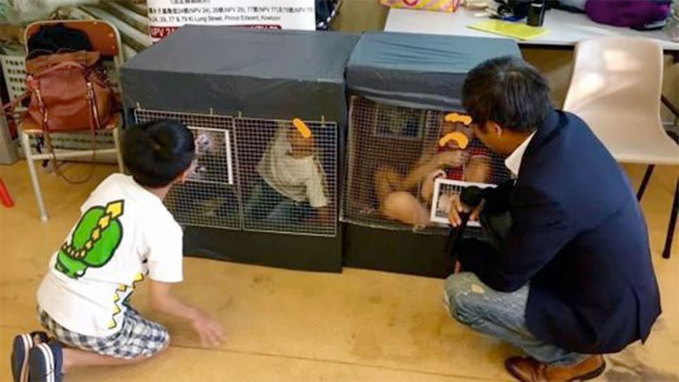 Hong Kong vet, Mark Mak placed three children in fake cages at the same time and banned them from making noise. Photo:CEN/YahooUK