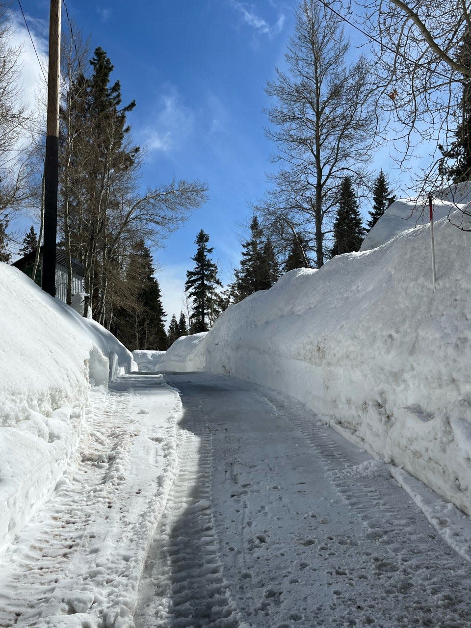 The Ponderosa Lodge went up in flames on March 10, 2023, leaving owners David and Jennifer Sharp with little to nothing. The lodge was known as “the cornerstone of its small mountain community.”