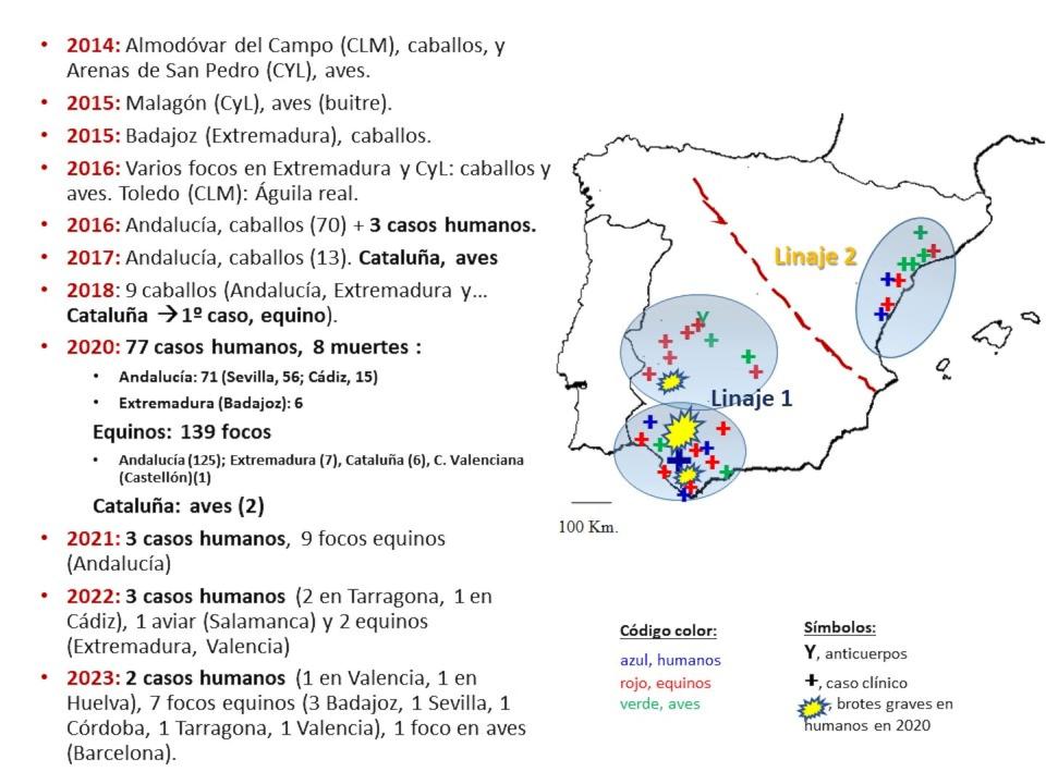 Situación de la fiebre/encefalitis por virus del Nilo Occidental en España, con énfasis en los hitos más importantes ocurridos desde 2014. La enfermedad se está expandiendo por tres grandes áreas: 1) Andalucía Occidental, 2) Extremadura-Castilla-La Mancha y sur de Castilla-León, y 3) Catalunya-Comunitat Valenciana. Los autores, <a href="http://creativecommons.org/licenses/by/4.0/" rel="nofollow noopener" target="_blank" data-ylk="slk:CC BY;elm:context_link;itc:0;sec:content-canvas" class="link ">CC BY</a>