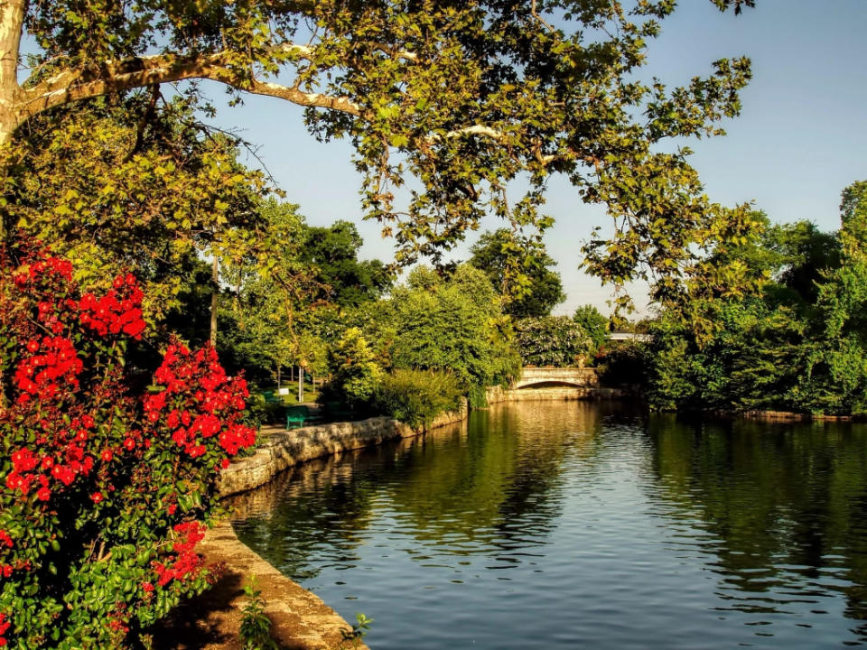 Summer morning at the lake in Centennial Park. Nashville, TN via Getty Images