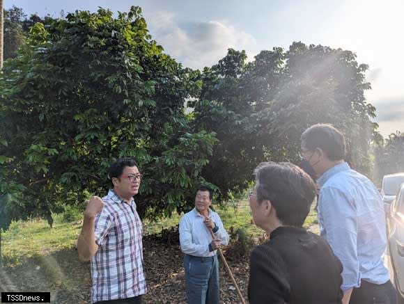 雲林荔枝龍眼結花不佳，立委劉建國邀農糧署會勘果園，呼籲救助農民損失。(記者劉春生攝)