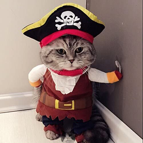 Get this <a href="https://amzn.to/37eQ3cu" target="_blank" rel="noopener noreferrer">Idepet Pirate Costume for $11</a> at Amazon. It's available in sizes medium, large and extra-large, and features an adorable pirate hat.