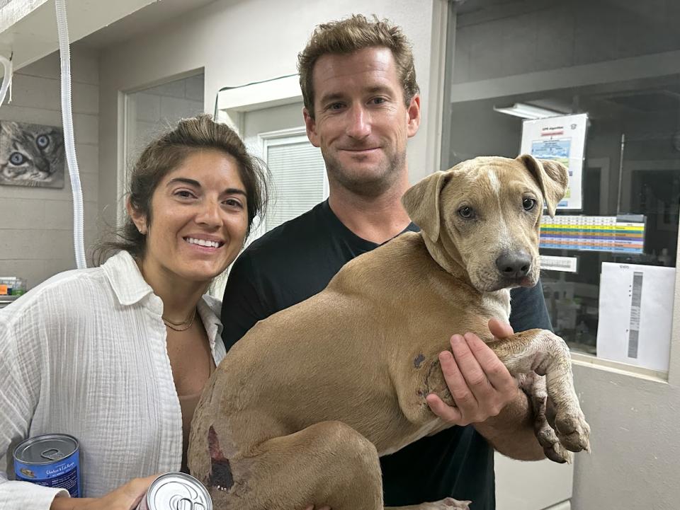 Maui Humane Society reunites a dog named Roman with his family (Courtesy Maui Humane Society)