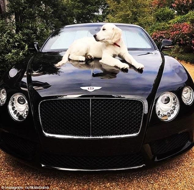 <p>Non sono in tanti i giovani nel mondo che possono guidare una Bentley, oppure portare una tigre al guinzaglio, come i Rich Kids of Dubai, </p>