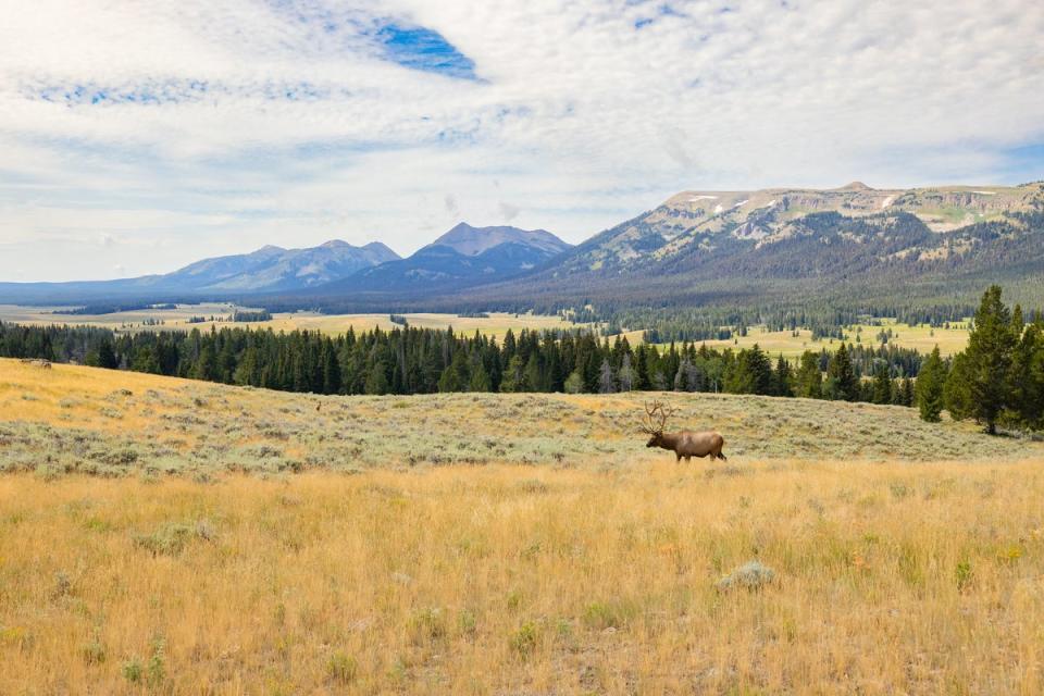 Yellowstone National Park (NPS Photo)