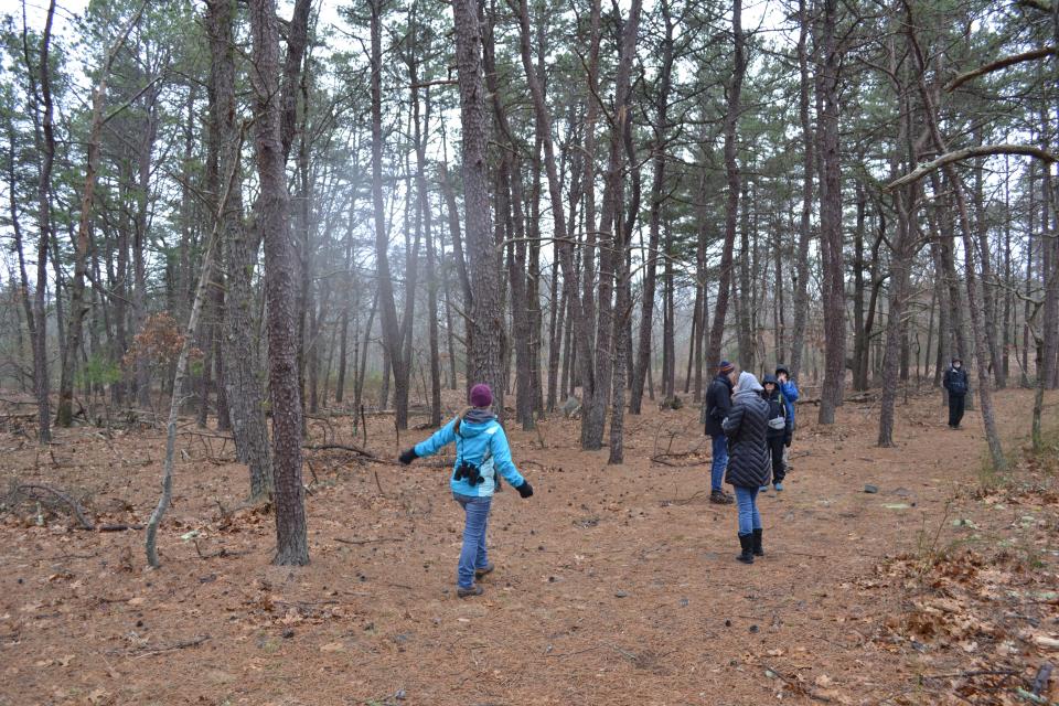 NBNERR Education Coordinator Maureen Dewire guides a tour group through Prudence Island's pine barrens habitat on one of the island's public trails.