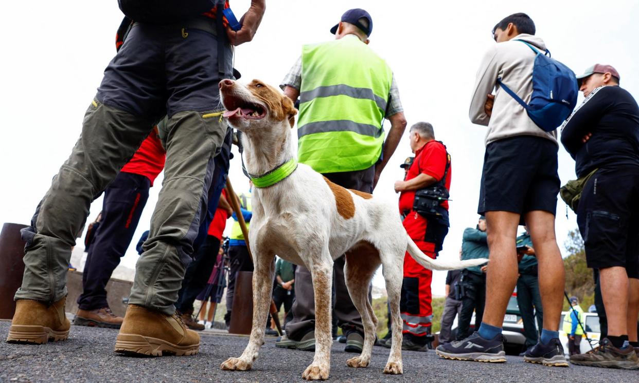 <span>Rescuers and a sniffer dog preparing to search the Masca Gorge, near where Slater was last heard from.</span><span>Photograph: Borja Suárez/Reuters</span>