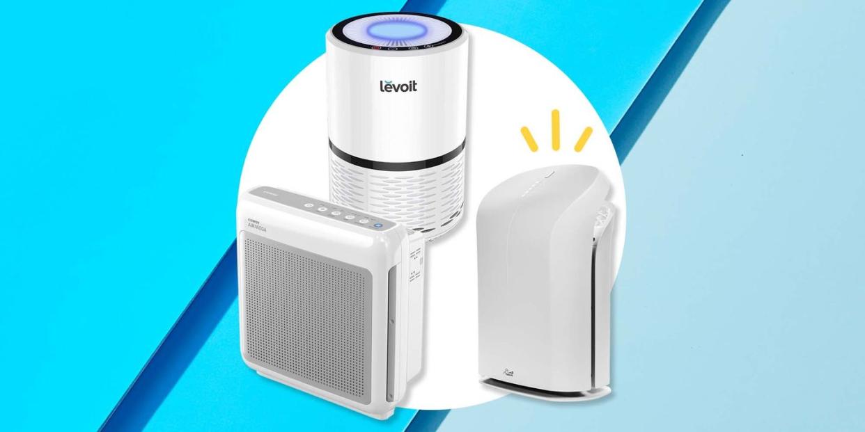 best air purifiers for allergies and smoke in 2023