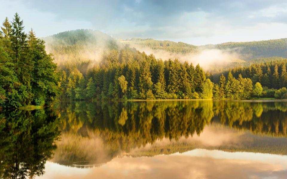 Sunrise at the Harz National Park