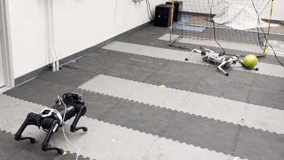 A cheetah robot kicks a soccer ball while another tends the goal