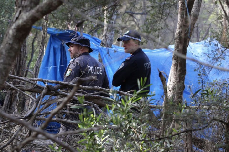 Photo of police searching bushland in Byron Bay where they found human remains.