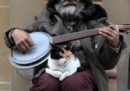 <p>A cat sits on the lap of a street singer on Jan. 2, 2018. (Photo: Goran Tomasevic/Reuters) </p>