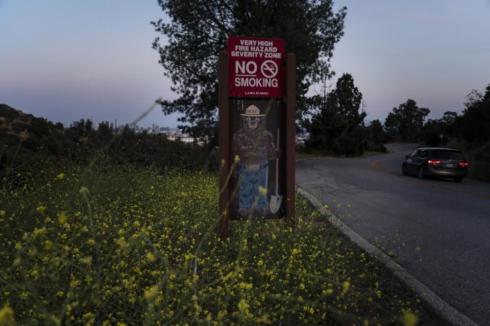 Wild mustard flowers bloom around a Smokey Bear sign in Griffith Park in Los Angeles, Thursday, June 8, 2023. Mustard was among the most prominent of wild flowering plants that seemingly popped up everywhere in California this spring. As temperatures warm it is starting to die, making it tinder for wildfires in a state that has been ravaged by blazes. Its stalks can act as fire ladders, causing flames to climb. (AP Photo/Jae C. Hong)