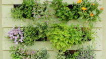 <p> Choose one of our favorite pallet garden wall ideas to add personality to your garden and create something unique that no one else has.&#xA0;Whether it&apos;s adding a vertical hanging planter to a wall, constructing a bug hotel, knocking up a herb garden or enhancing boundaries with pretty detailing, simple pallets offer so much potential for enhancing your space on a budget. </p> <p> Wooden pallets are the upcycler&apos;s best friend. There&apos;s just so much you can do with them, either using them as they come or after deconstructing them and using the wood. They are one of the best materials for upcycling projects in your backyard to enhance and improve your outdoor space.&#xA0; </p> <p> They&apos;re widely available and a great way of recycling the wood that has been used to transport goods rather than it going into landfill. Although they won&apos;t typically have the necessary structural strength you&apos;ll require if you&apos;re looking for retaining walls, they are perfect for plenty of other wall solutions in your plot and are a great way to tick the eco box by reusing everyday materials in your DIY projects.&#xA0; </p> <p> If you like the thought of some easy garden projects to add a decorative focal point, you&apos;ll love our selection of pallet garden wall ideas that will bring your backyard boundaries up to date.&#xA0; </p> <p> <em>&#xA0;By Sarah Wilson&#xA0;</em> </p>