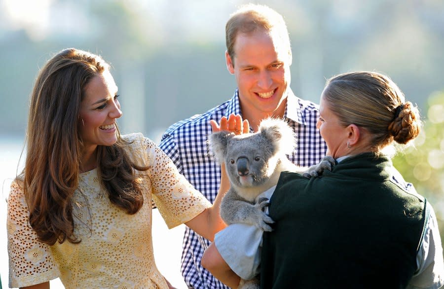 Prince William and Duchess Kate Catherine Video-Chat With Koala